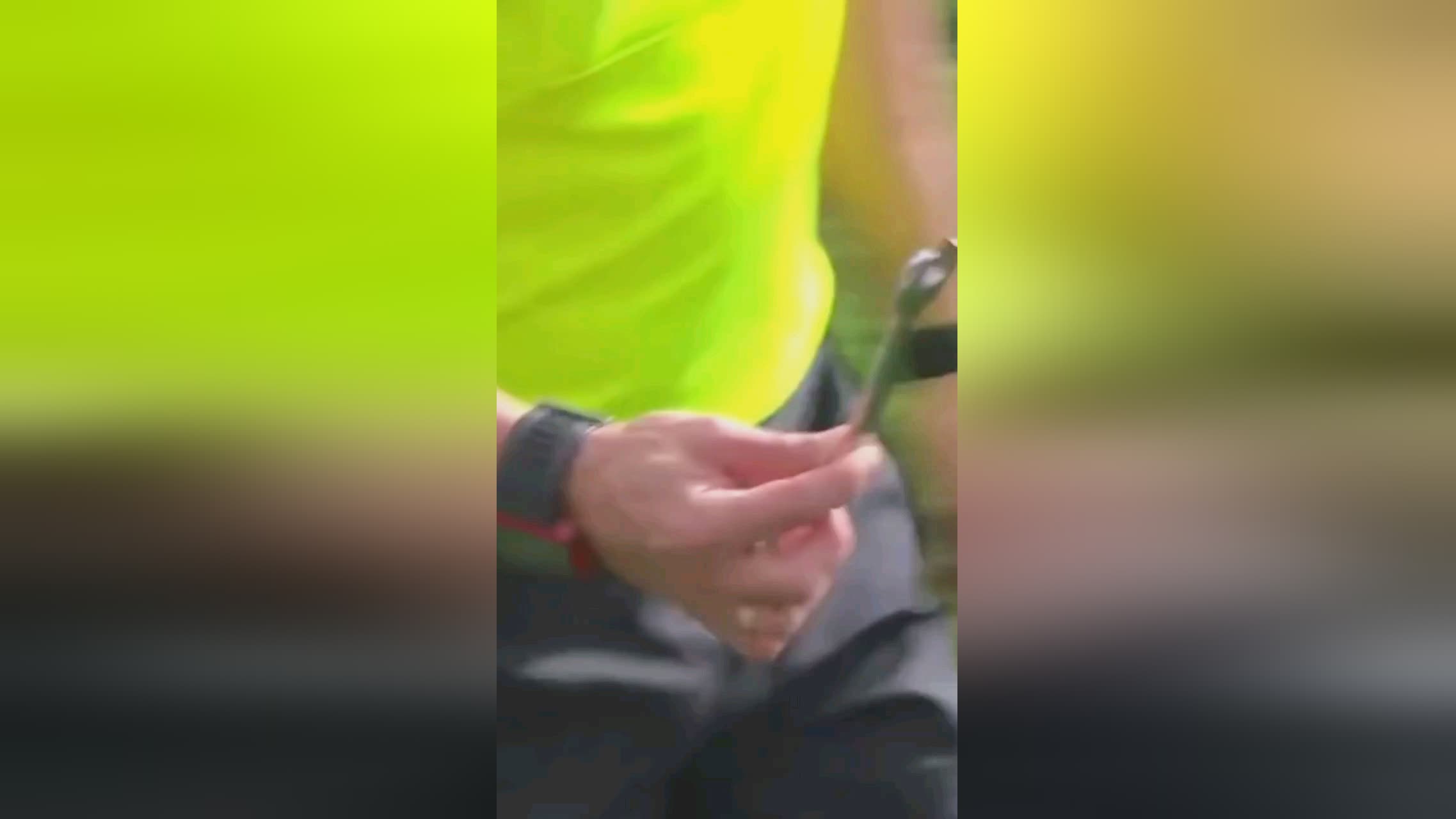 和比赛的